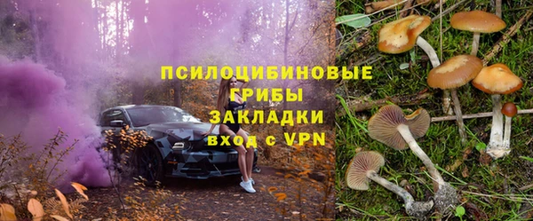 соль курить ск Новоузенск