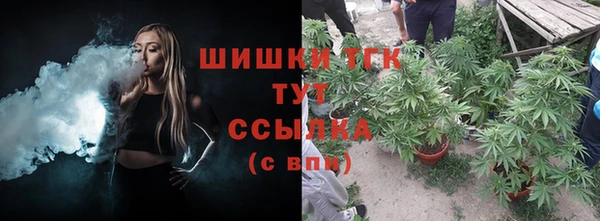 молекула духа Магадан