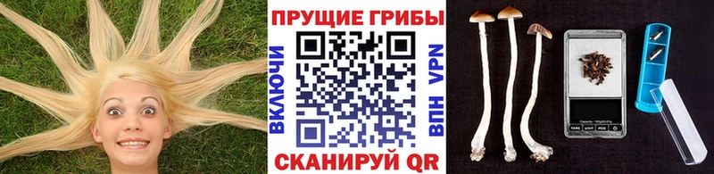 Галлюциногенные грибы прущие грибы  Спасск 
